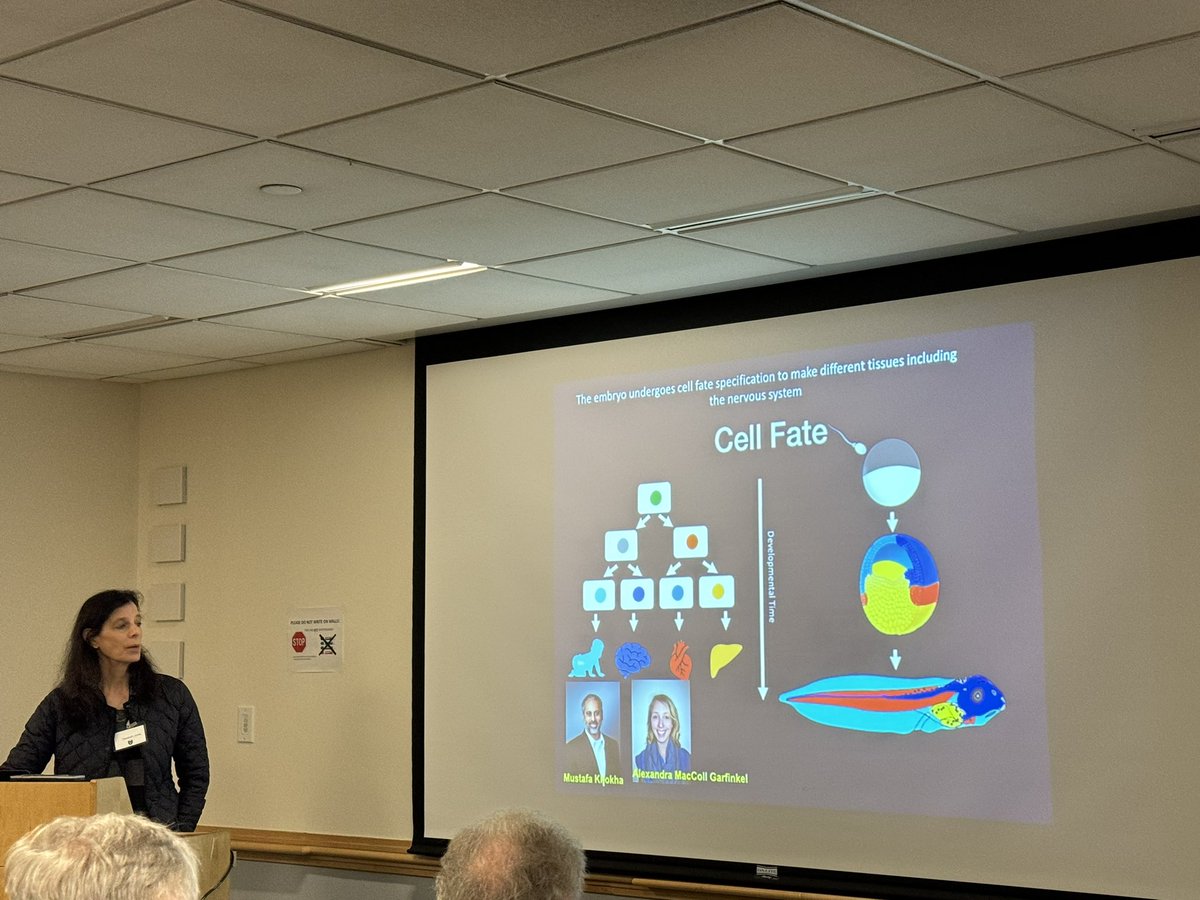 @YaleMed Learning from Dr. Jonas @YaleMed about “leak metabolism” involving ATP Synthase as a bridge to oxidative phosphorylation. There are pharmacological tools and evidence this impacts cell fate decisions in development. #226ICC