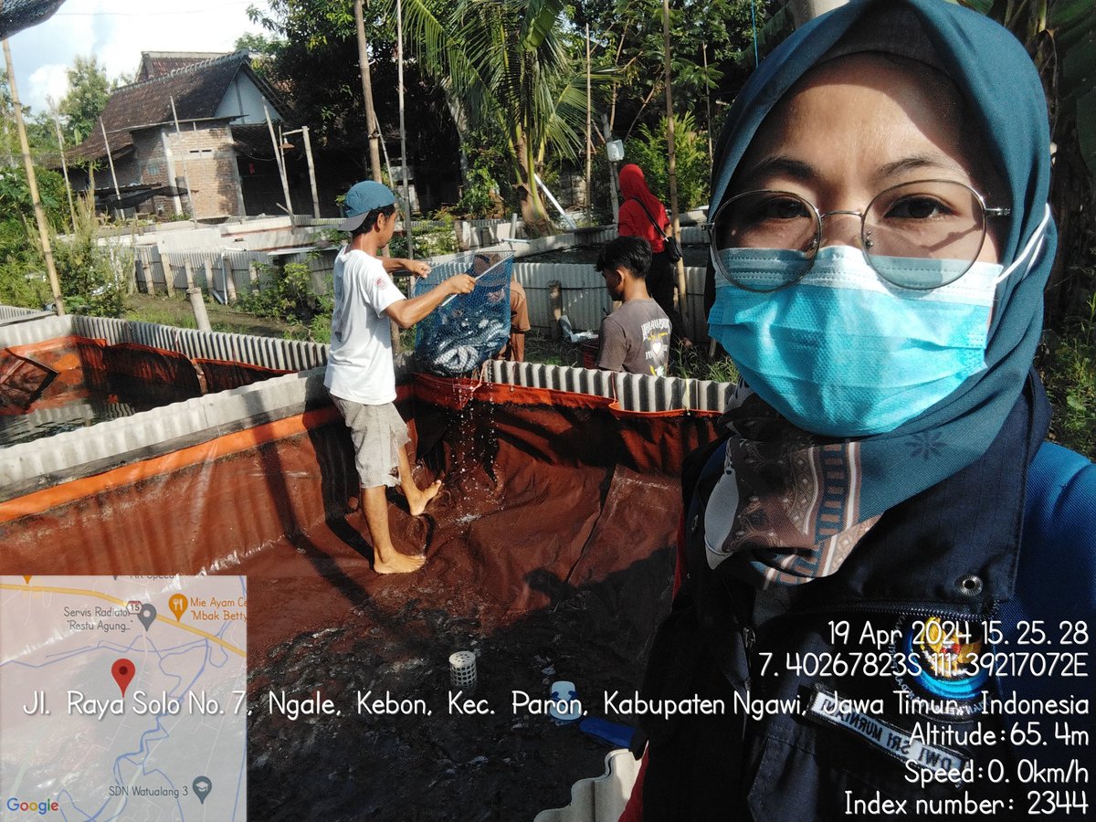 dwi_murniani's tweet photo. Jumat (19/04/2024) Dwi Sri M. Luhkan #Ngawi mendampingi  panen ikan lele di Bpk Herlambang Yuda Pokdakan ULAM TIRTA, Ds. Kebon Kec. Paron. Total Panen 198 Kg, Size 9-10, Harga 19 Rb/Kg. 

#GIATLuhkanSatminkalBWI
#LuhLapor
#Panen

@bppsdm_bp3bwi 
@puslatluhkp https://t.co/SIv00aqaZF