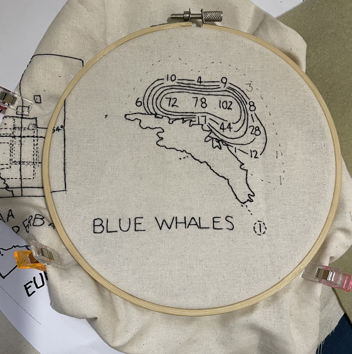 Making slow but steady progress on the 1920s distribution charts. Nearly finished the #BlueWhale. Should be able to get the #FinWhale one done this weekend! #HandEmbroidery