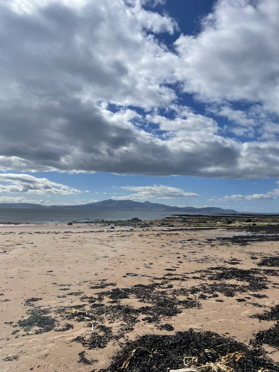 I didn’t need my big coat for the doggie walk today. No rain and actual warm sunshine for once!