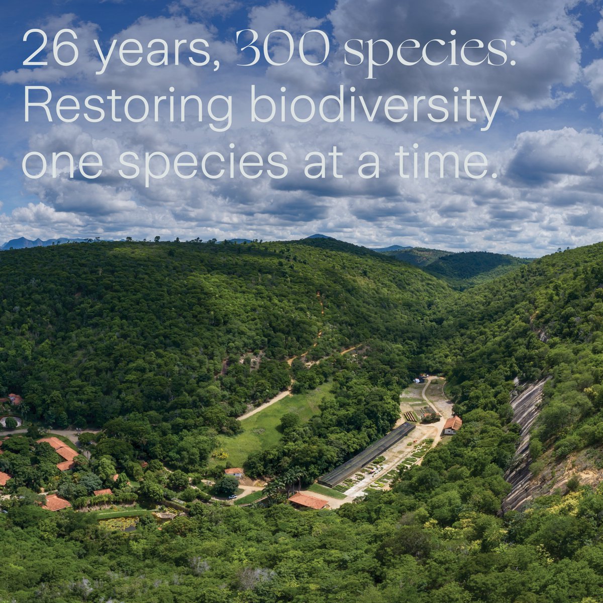 Today is #EarthDay. It’s why we have been working with @InstitutoTerra_ on the #ZurichForest Project since 2020 to help restore part of Brazil’s Atlantic Forest. It’s just one of the ways that we’re helping to protect our planet. Learn more here 🔗➡️zurich.io/AbobutZFP