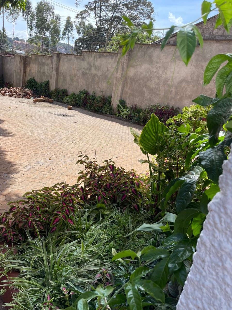 RVINEHOMES's tweet photo. EXCUTIVE 3BEDROOMS OWN COMPOUND RUAKA 55K CALL RUSHVINE MANAGEMENT 0717959780-ALBERT #OWNCOMPOUND #ruakaapartment #viral #mustwatch #kenyarealestate https://t.co/xrnCLRofMt