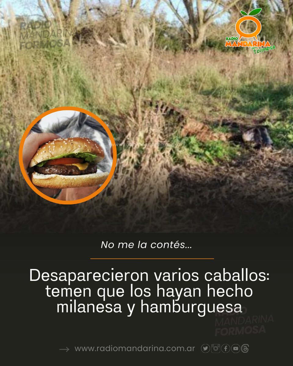 😳  En un escalofriante descubrimiento en la zona sur de Mar del Plata, dueños de terrenos encontraron los restos de siete caballos faenados, evidenciando un preocupante patrón de consumo de carne equina. Algunos de los caballos hallados todavía mostraban vísceras frescas.
