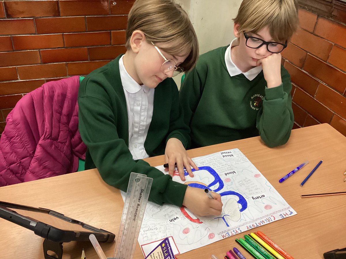 Year5Markeaton's tweet image. 🧠💪To kick off our new topic, we have been learning about the Circulatory System. Some brilliant work here 👏🫀#MPSscience