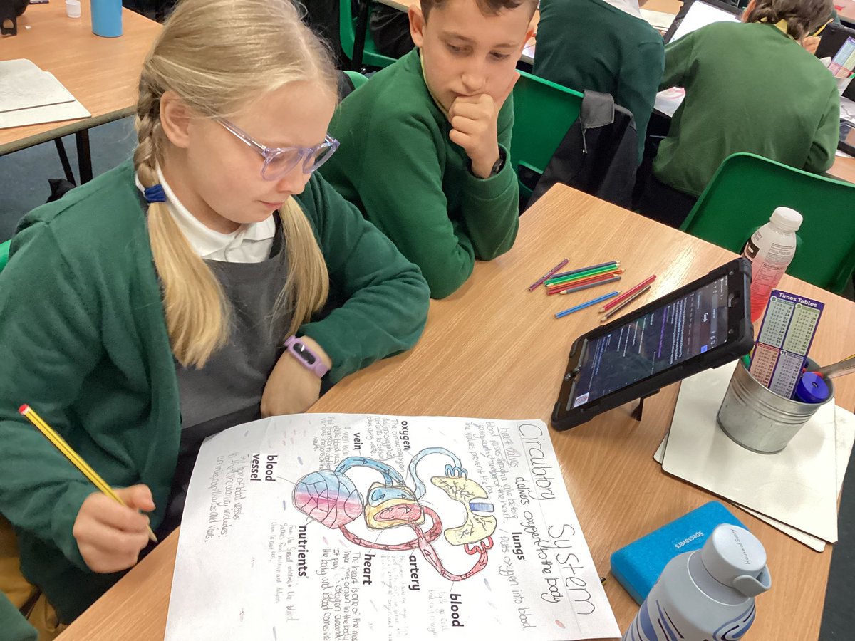 Year5Markeaton's tweet image. 🧠💪To kick off our new topic, we have been learning about the Circulatory System. Some brilliant work here 👏🫀#MPSscience