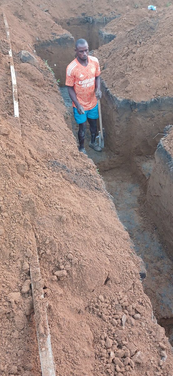 Lead_field1010's tweet photo. Foundation maintenance
Concrete in putting 
Planting of starter bars 

#Leadfield https://t.co/CmLLw4mDHe https://t.co/PC8GuikQA3