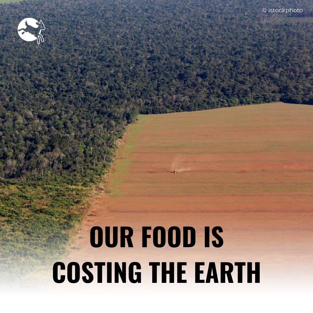 We can help save our planet one bite at a time🌍 40% of global arable land is used to feed animals instead of people – driving deforestation, massive loss of wildlife habitats & climate change. Shifting to plant rich diets can help the planet, the animals & our health. #EarthDay