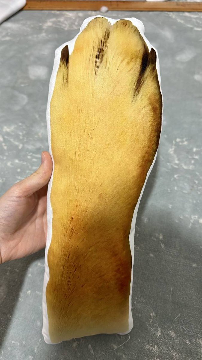 Portgas_D_Ace_x's tweet photo. @JakeGagain @JakeGagain holding #dogearm
https://t.co/xEnBNdx846 https://t.co/VJDS4EGHcP