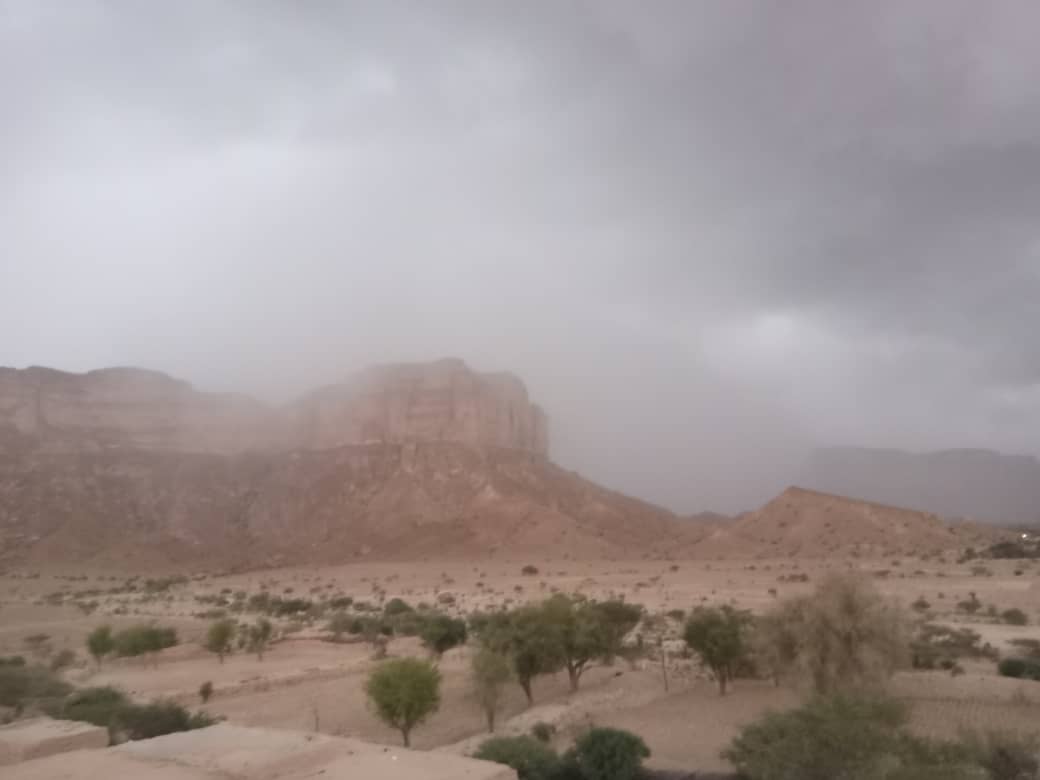 يامحلي الاجوي الربعيه