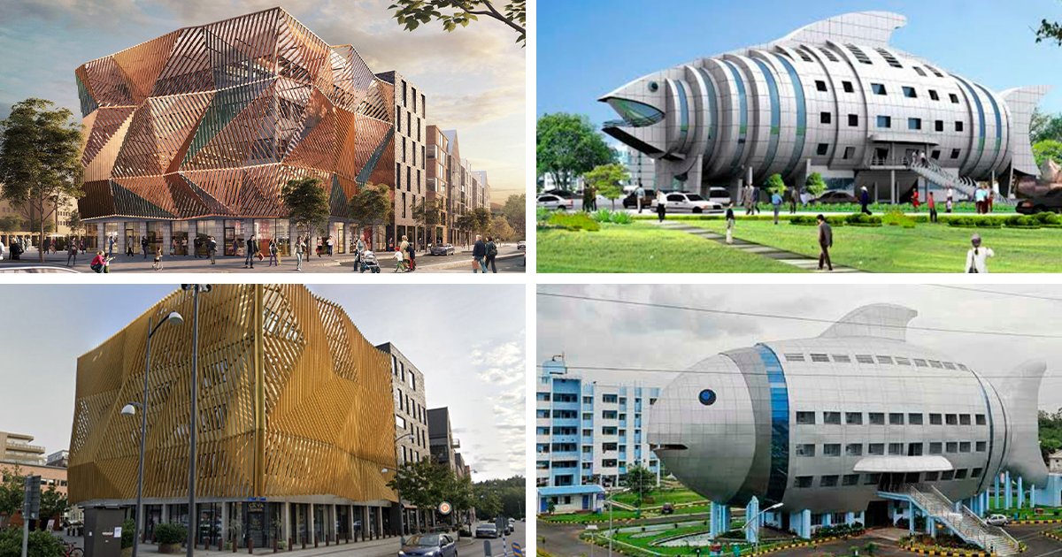 Matthew Plotkin tweet media