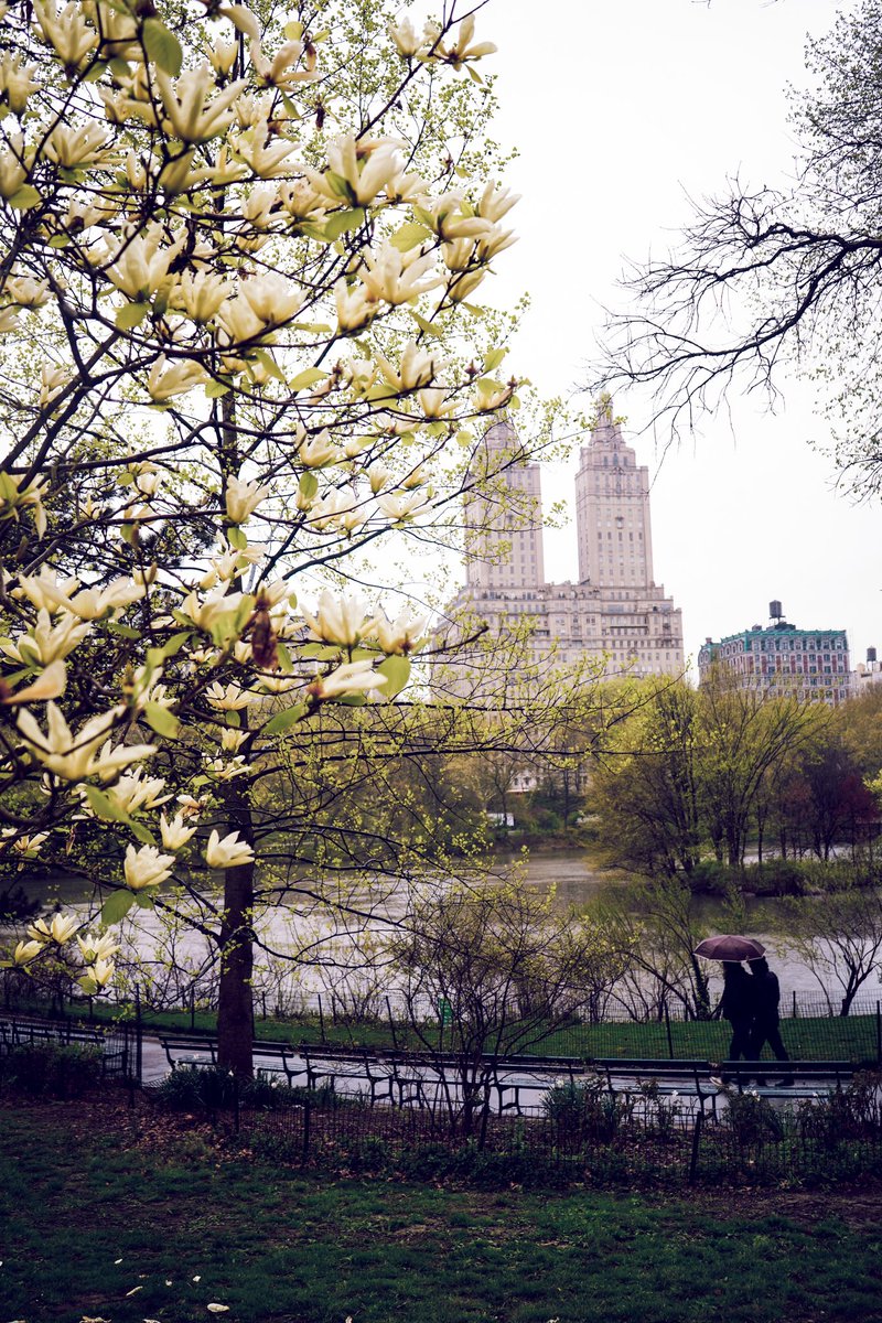 Central Park 

.
.

 #NY1pic #SonyAlpha #NYC #photograghy
