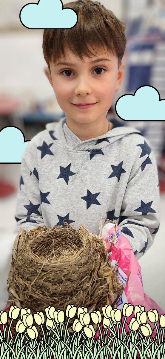 BrainyBunch2s's tweet photo. 🌿🐦 A big thank you to our thoughtful student for bringing in a real-life marvel – a robin's nest! 🏡🌳 We're exploring the wonders of nature and the strength of natural structures. #LearningIsInspiring #NatureIsOurClassroom https://t.co/ua4Y4ykujM