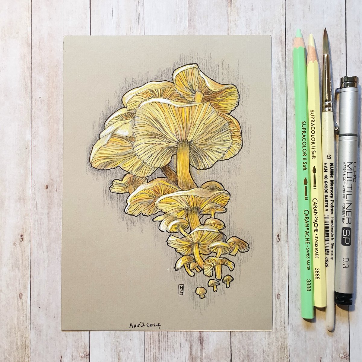 A cluster of yellow mushrooms. I think this is my current favourite of my mushroom drawings, it's available now in my Etsy shop... theweeowlart.etsy.com/listing/170793… #Mushrooms #MushroomDrawing #OriginalArt #drawing #PenAndInk #ColourPencil #art #TraditionalArt #GiftIdeas #Etsy