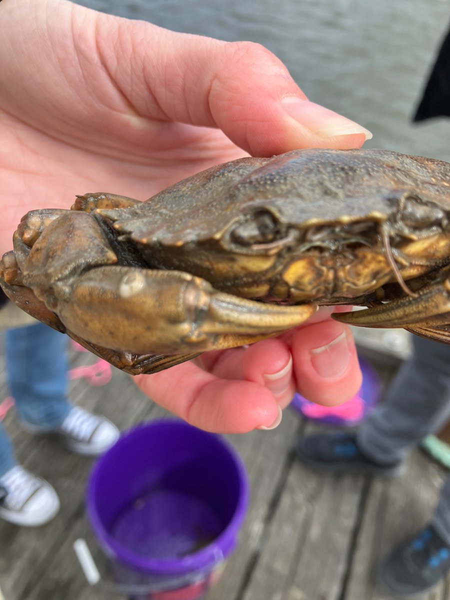 Lena Granhag tweet media