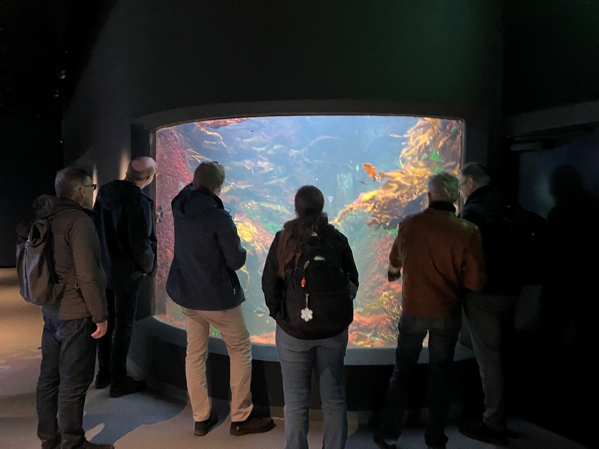 A lot of activities were included during the CLIMATE INVASIVES project (Biodiversa+ BioDivProtect call) yearly meeting, like study visit to the Aquarium and field samling at Nya Varvet during lunch-break.. 🦀