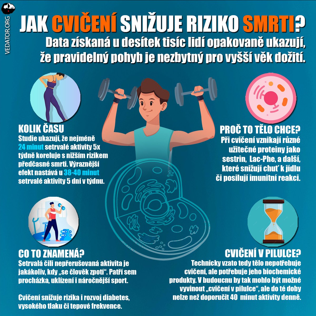 Vedator5's tweet photo. 💦 A kdo NEVYTÁHNE story o babičce, co za život ušla jen tři kroky, a přesto žila do 120 let, a naopak o sportovci, co denně uběhl maraton, a přesto umřel ve dvou letech, ten NEVYHRAJE soutěž o degena dne! 🪇
#veda #věda #science #srdce #health #heart #zdravi #cviceni https://t.co/wu2BmKyGRW