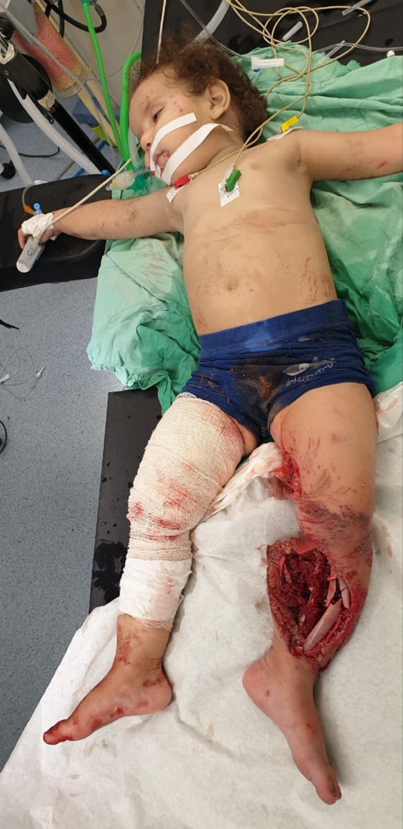 Dr. Anastasia Maria Loupis tweet media