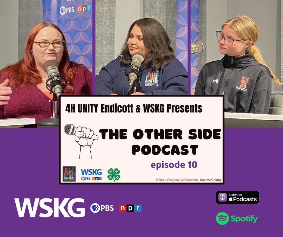 On this week's episode of The Other Side, we talk about the pros and cons of building friendships and dating online, and how young people can protect themselves. bit.ly/3W8DpVE #publicmedia #YouthVoices #youthmedia #OnlineSafety #southerntierny