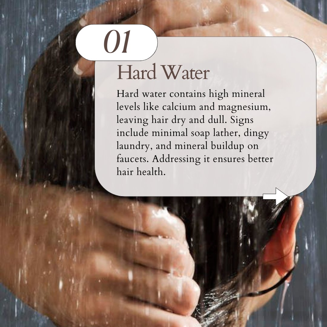ecoslay's tweet photo. Say goodbye to hard water, chlorine, and product buildup! 💧✨ Don't let these culprits ruin your curls' vibe. Check out our latest blog for the ultimate solutions to restore softness and shine. Dive into softness here 👉 https://t.co/JsJHCUF4gJ https://t.co/GLmHGVj6cr