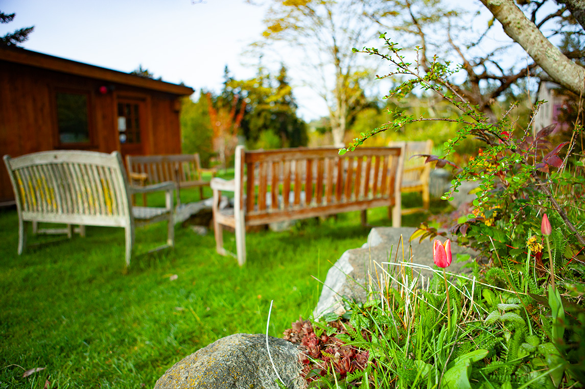 “Even if you don't have friends somewhere, you still have language, & it will find you & wrap its little syllables around you & suddenly there will be a story to live in.” — poet & HB alumna, Naomi Shihab Nye 📸: Nia Martin #Hedgebrook #writingretreat #nationalpoetrymonth