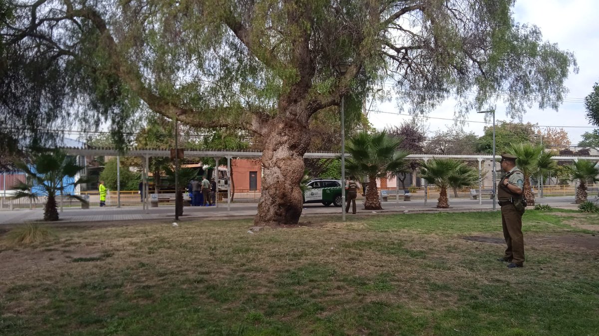 Junto a Carabineros de la 22ª Comisaría y la ayuda de técnicos de ENEL, se realiza desalojo de diversos rucos en nuestra comuna. Estos lugares, focos de incivilidades, llevaban tiempo siendo denunciados por la comunidad.