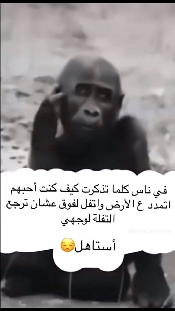 #بس_حبيت_أقول