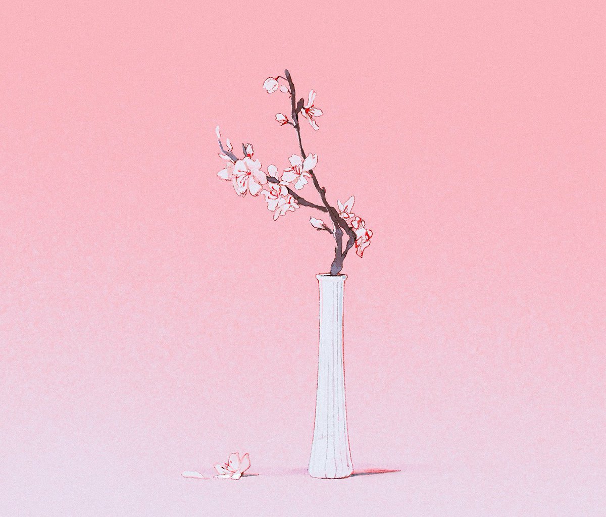 simple background flower no humans shadow leaf pink background white flower  illustration images
