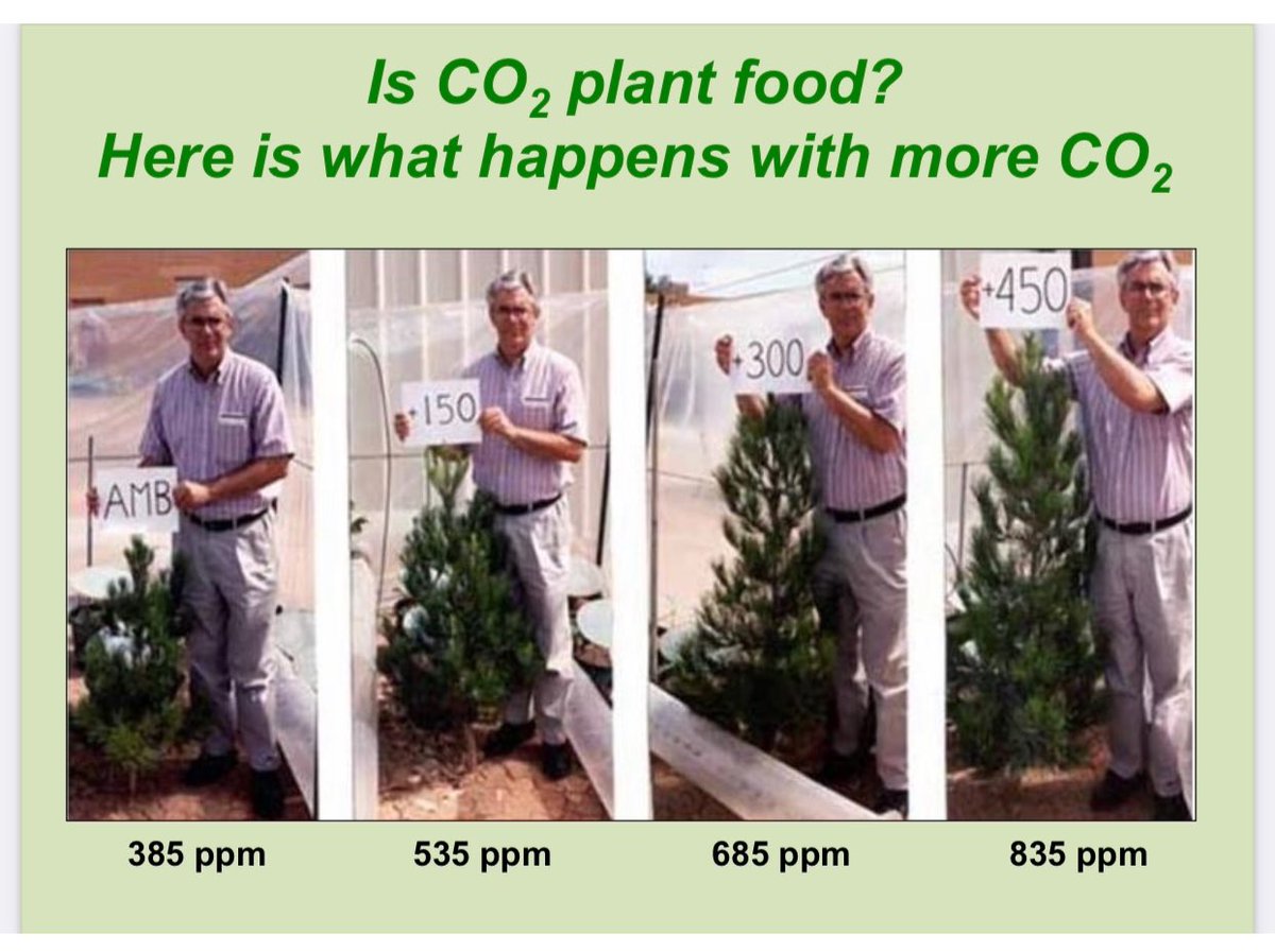 Gothoriumbackup's tweet photo. Bij @albertheijn nu vol klimaat propaganda. Bij AH wil men dus minder groene natuur want CO2 stimuleert de planten groei en heeft bijgedragen aan de vergroening van de planeet ๐ volgens NASA. Waarom deze leugens AH? Ik #BoycotAH https://t.co/92eUD3SzxR