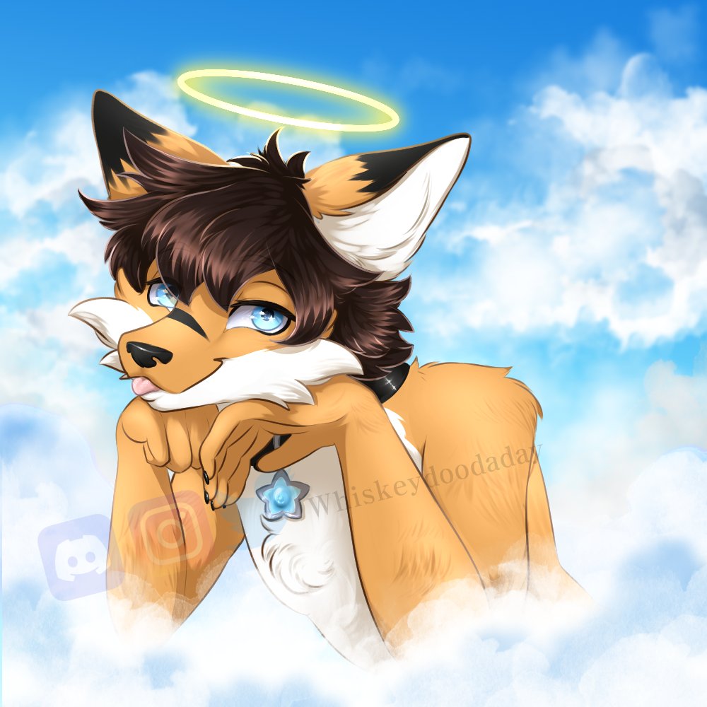 Whiskeydoodles tweet media