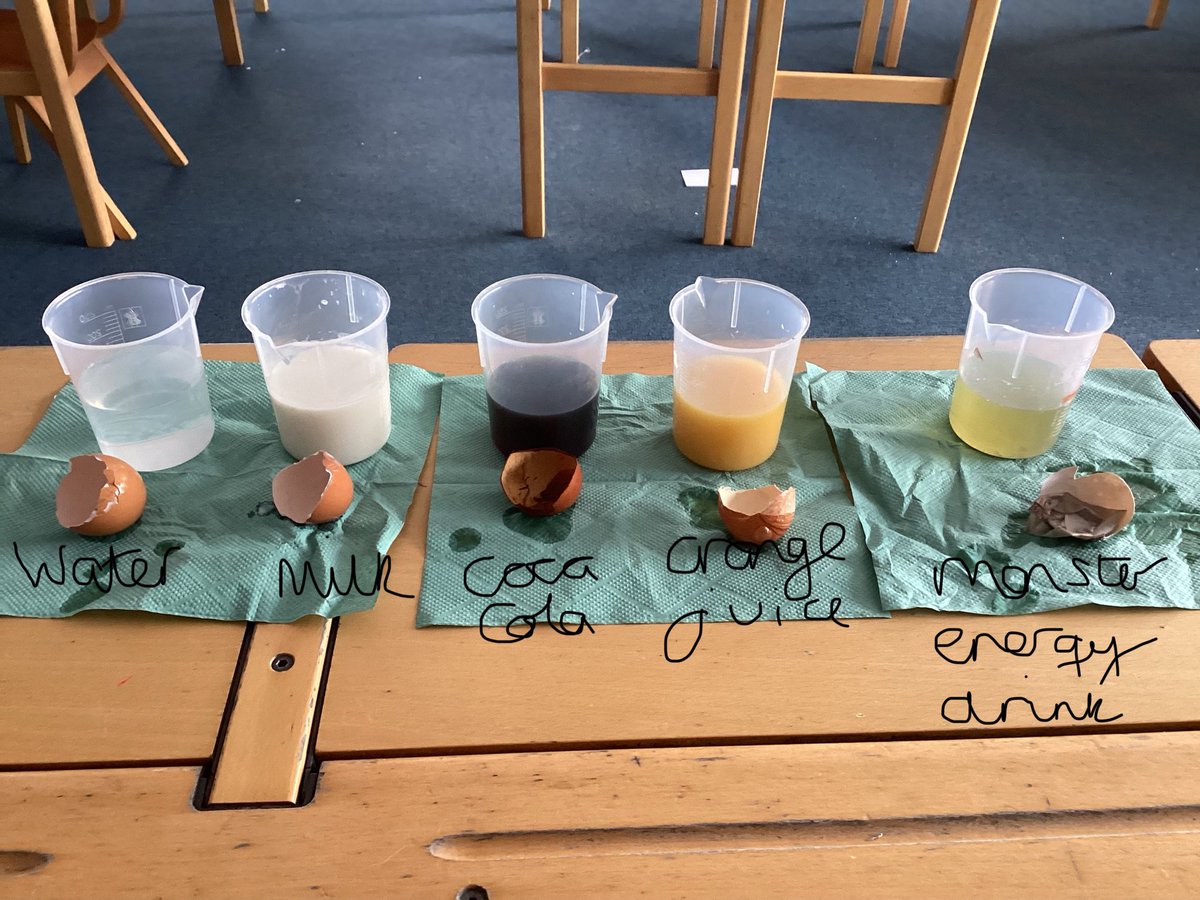 Year Four has set up a fair test this week to observe the effects that different drinks can have on our teeth 🦷 we substituted teeth for egg shells and looked at how the eggshells changed over the week. As the picture shows, the results are very interesting!