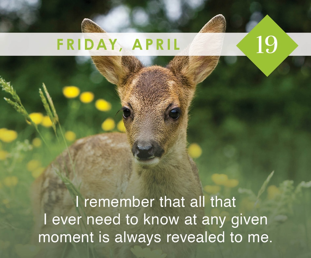 Affirm: 'I remember that all that I ever need to know at any given moment is always revealed to me.'