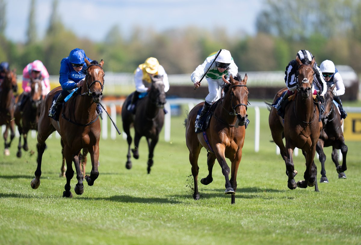 🗣️ 'He's had a really good couple of days with Kalpana winning on Tuesday very easily, Sons And Lovers third in the Craven and today's winner.' Excellent week for Study Of Man continues with Newbury winner Sinology 👉 bit.ly/3U89OsM