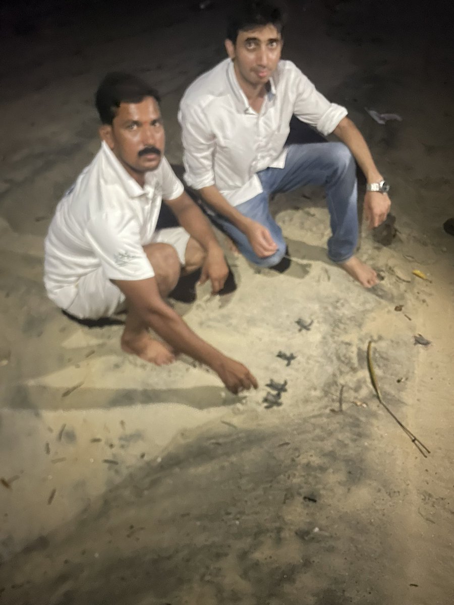 Just let some #OliveRidley Hatchlings into the #arabiansea at Tonka Beach of Honavar.

Was there to meet the fisherfolk’s and just got lucky with the timing once again or there is an unknown connection between us :)