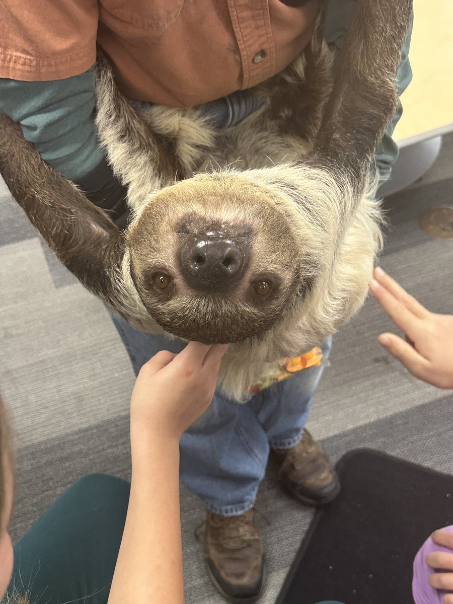 Musa2nd's tweet image. Thank you PTO! We had a blast! 🐍 🐢