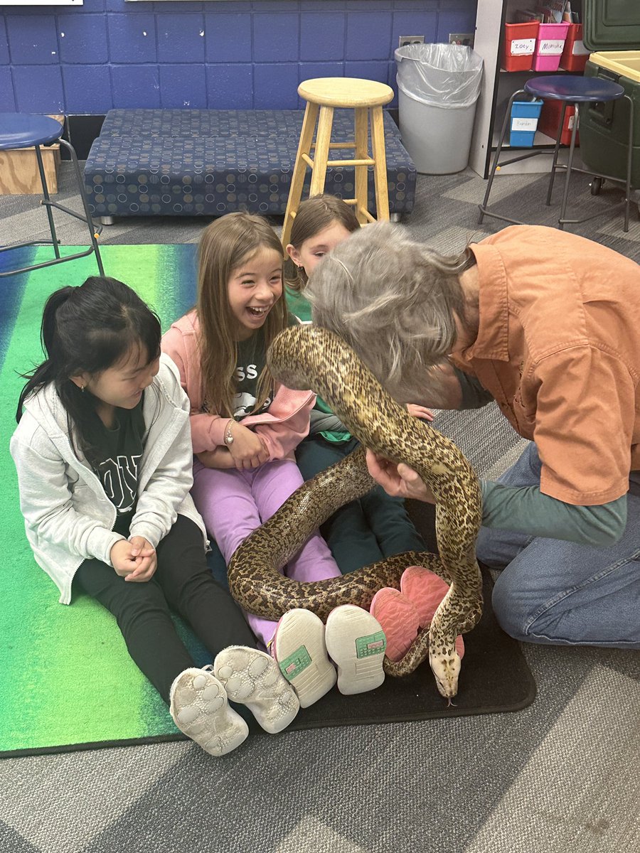 Musa2nd's tweet image. Thank you PTO! We had a blast! 🐍 🐢