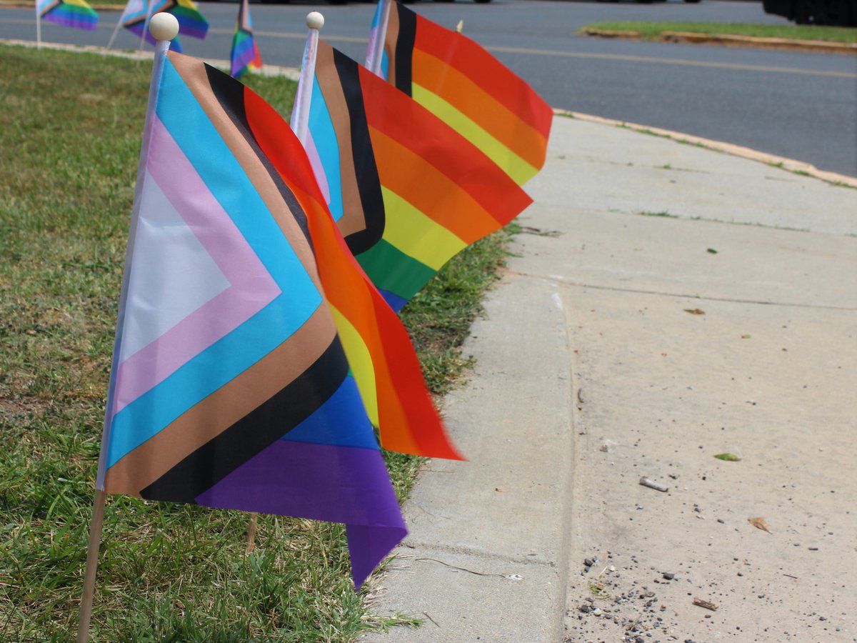 LGBTQ+ advocates, allies urge County Council to fund wellness services, HIV testing moco360.media/2024/04/19/lgb…