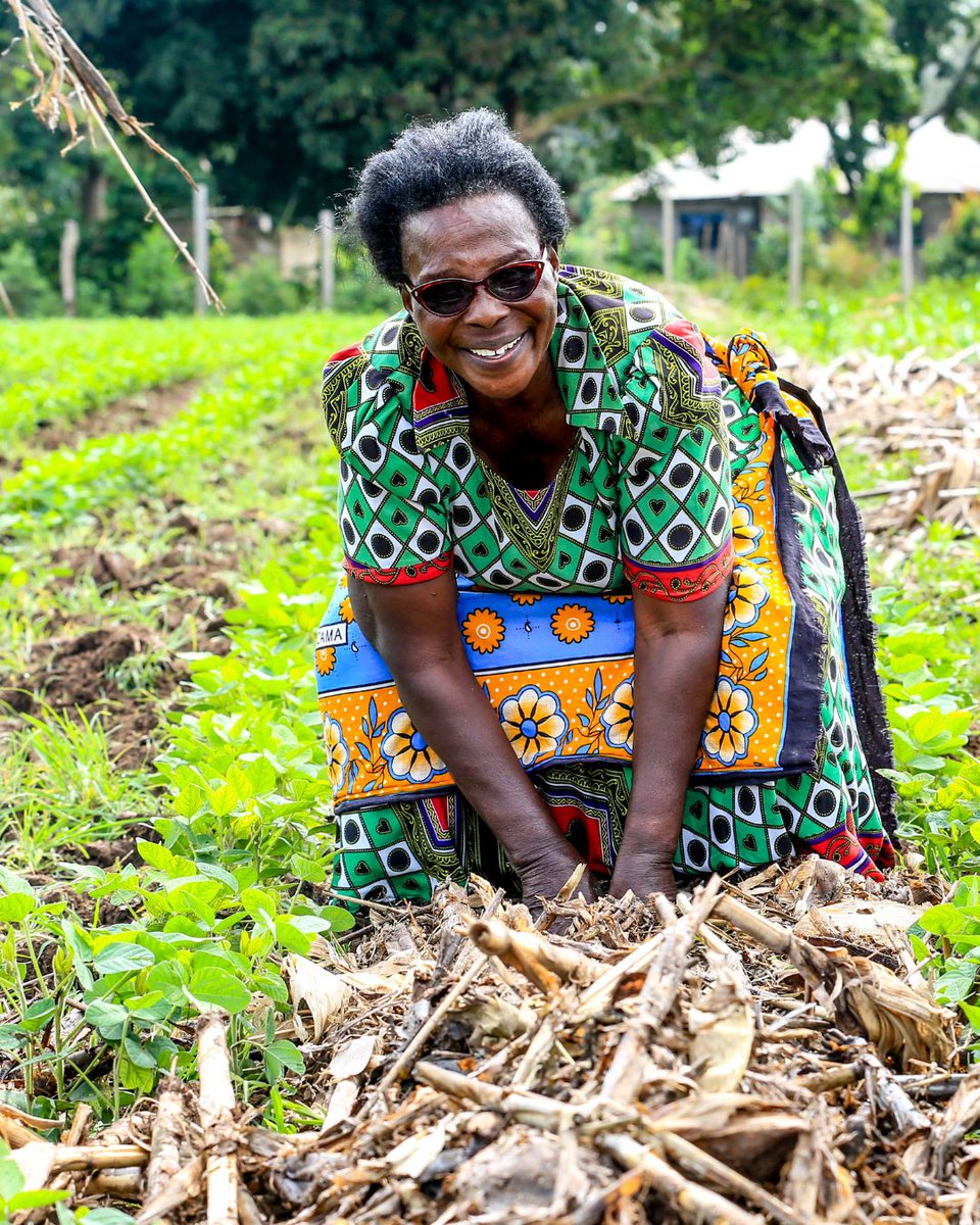 Meet Hannah, a farmer in western Kenya who uses sustainable farming practices aimed at building healthy soil that is more resistant to drought, heat and other climate impacts – she is even part of a program that pays her for carbon removal from the atmosphere. 📸: ©Leonard Odini