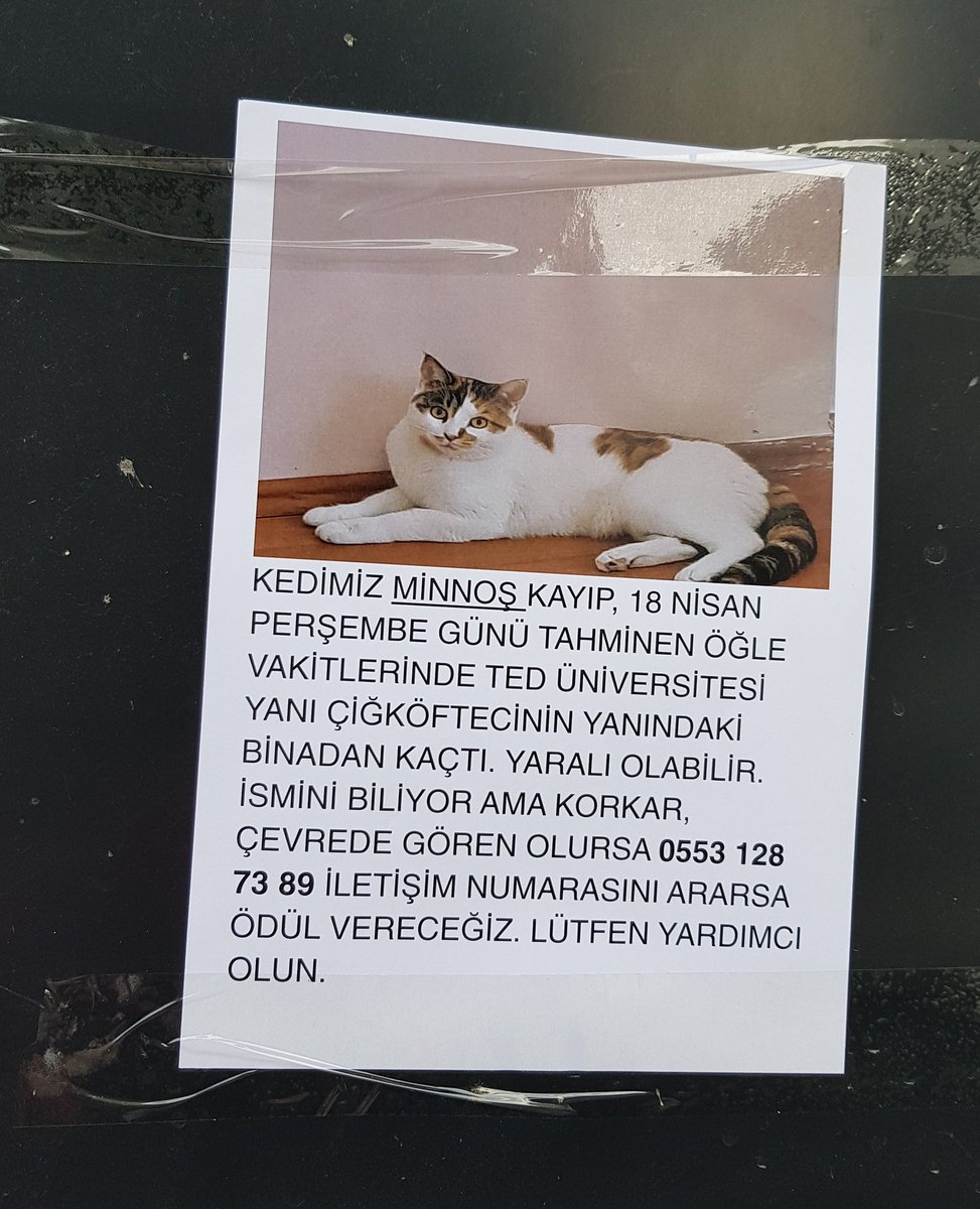 kolej Ankara/Çankaya rt lütfen