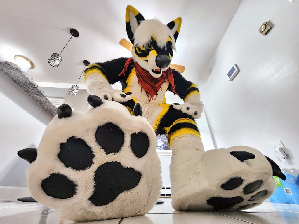 Look who's about to get stepped on~ 📸 @aerialiftstudio ✂️ @TwinkyArts #FursuitFriday