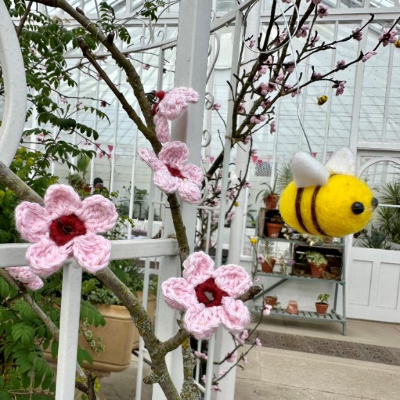 Final preparations for Blossom Week are underway here at Clumber today. Join us for a host of blossom-themed activities until 28 April. Full details at: nationaltrust.org.uk/visit/nottingh… Share your pics with us using #blossomwatch #ClumberPark