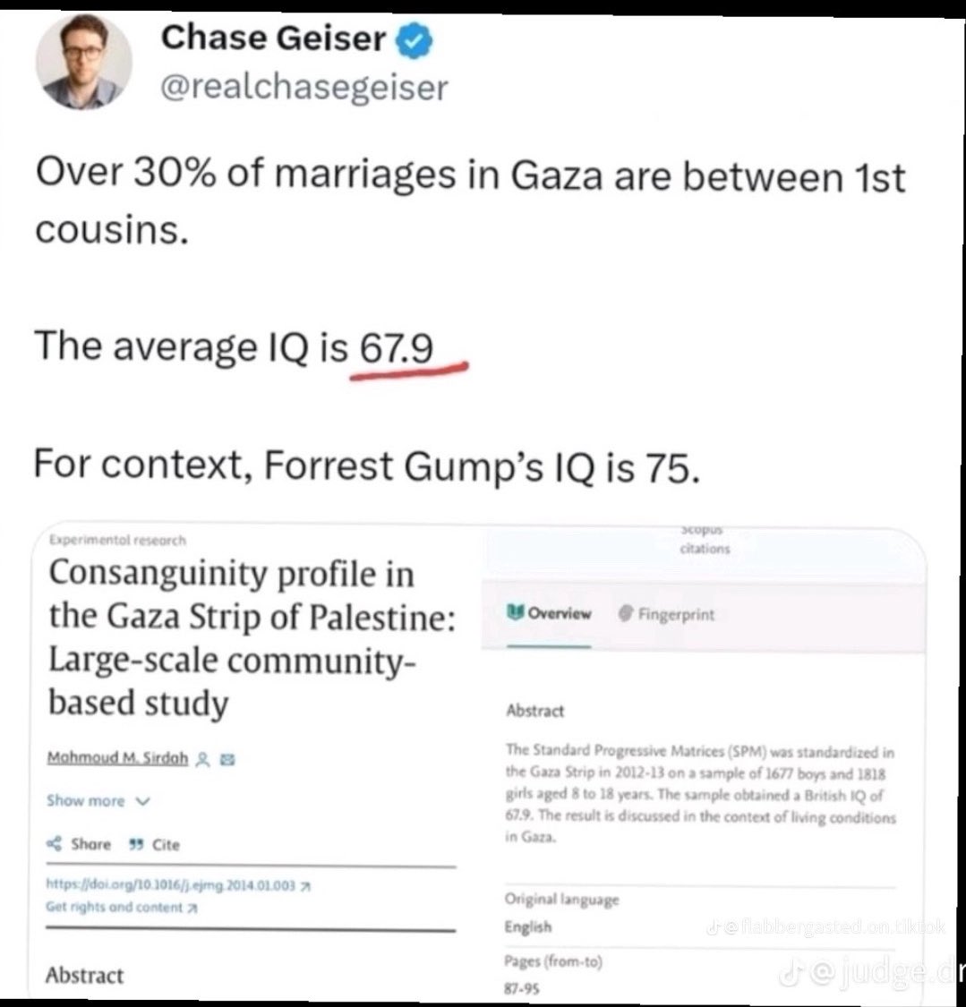 The average IQ for someone in Gaza is 67.9. 

Forrest Gump’s IQ was 75, let that sink in…