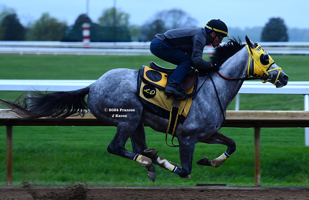 Frances J Karon tweet media