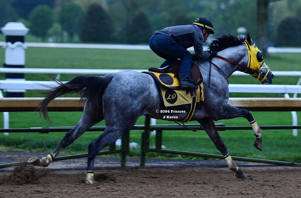 Frances J Karon tweet media