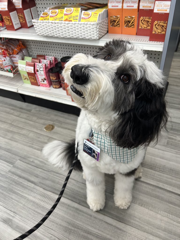 Our fur day spotlight🐶Meet Bailey, this sweet pup is a service animal at Augusta University Hospital. She loves to visit the children’s hospital as well. She makes everybody’s day better🤍