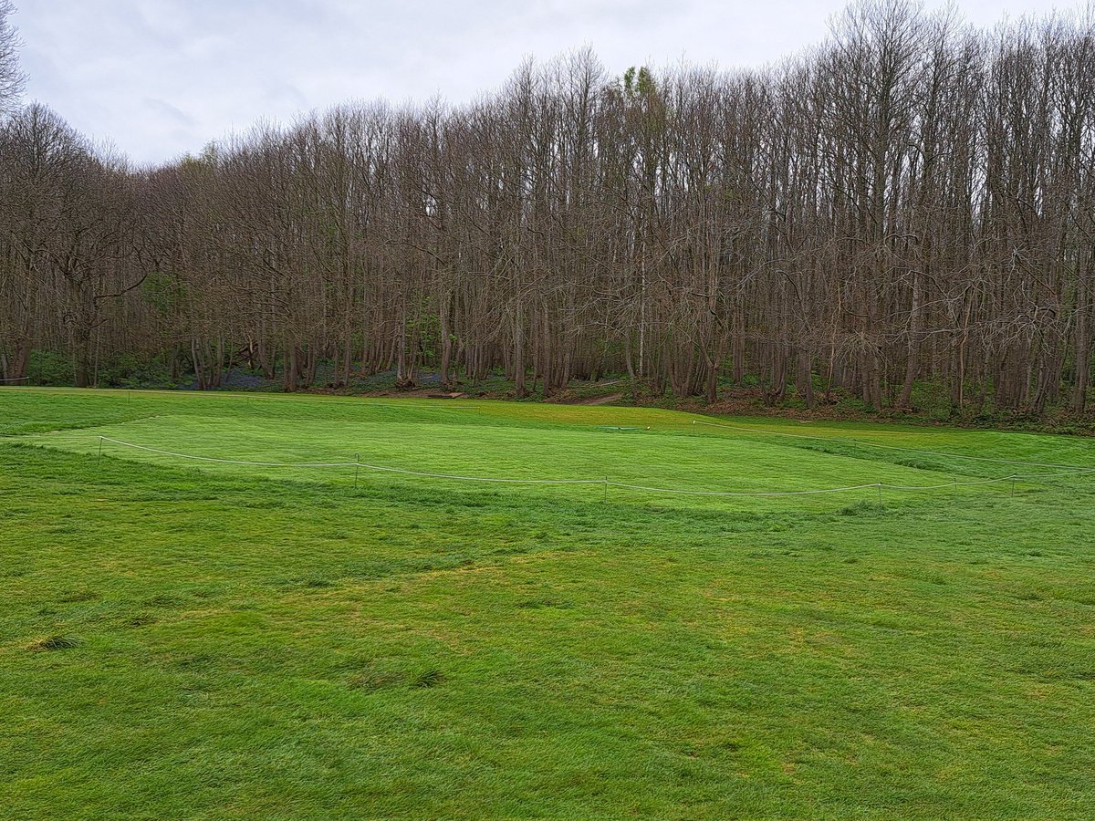 Michael Sparke tweet media