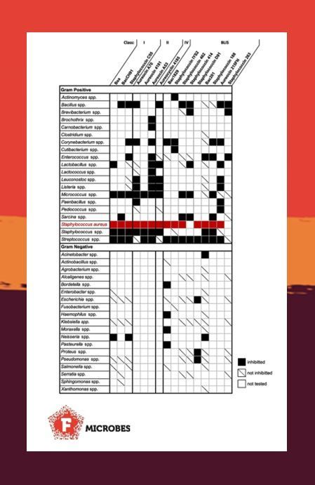 S.aureus secretes several #bacteriocins to compete with other bacteria. <a href="/StephenRG97/">Stephen Garrett</a> et al. review the roles of S. aureus’ arsenal of proteinaceous toxins and #T7SS in interbacterial competition🦠⚔️. academic.oup.com/femsmicrobes/a…