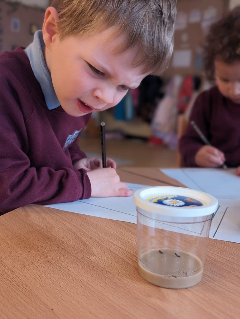 MrsJamesBHPS's tweet photo. #NurseryBHPS loved welcoming our new members today 🐛. We can’t wait to look after them and watch them grow. Lovely observational drawings were created. Da iawn 😊 @BeaufortHillPri @EAS_EarlyYears https://t.co/5xuMt51zBV