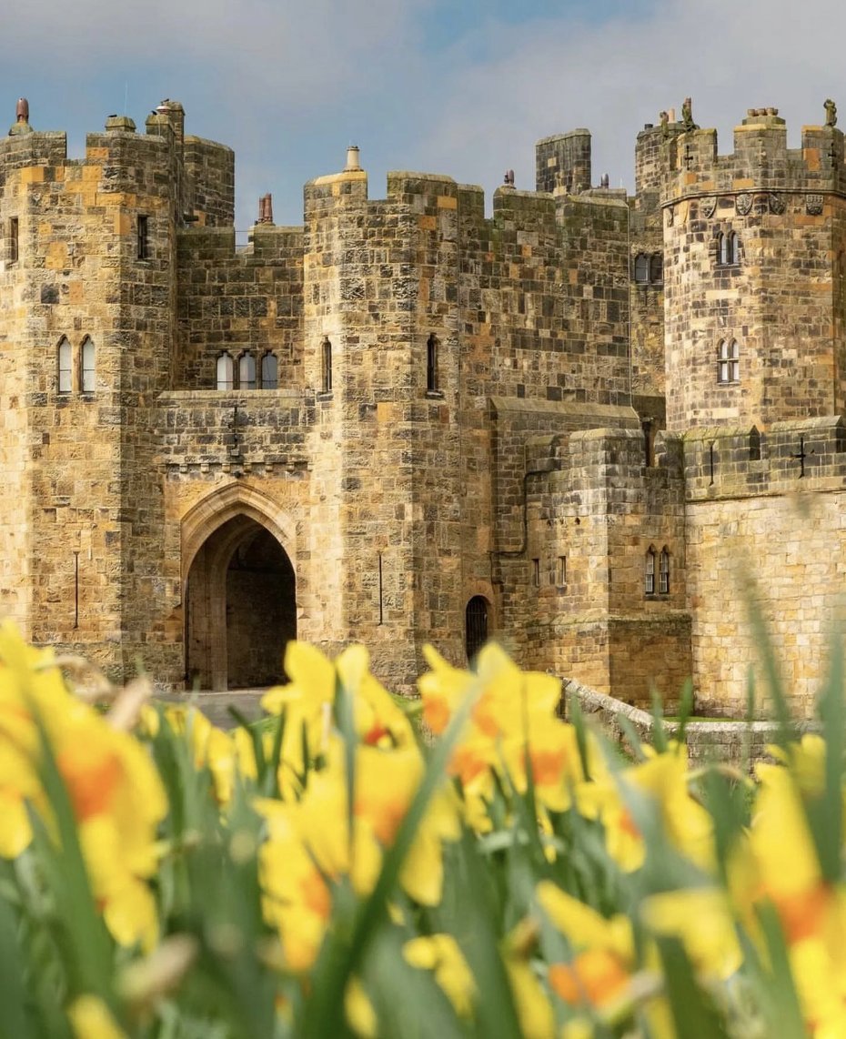 The iconic Alnwick Castle is a castle and country house in Alnwick in the English county of Northumberland.

Repost: @jamesylittle

#cussins #cussinshome #alnwick #alnwickcastle #northumberland #visitnorthumberland #visitalnwick #alnwickgardens