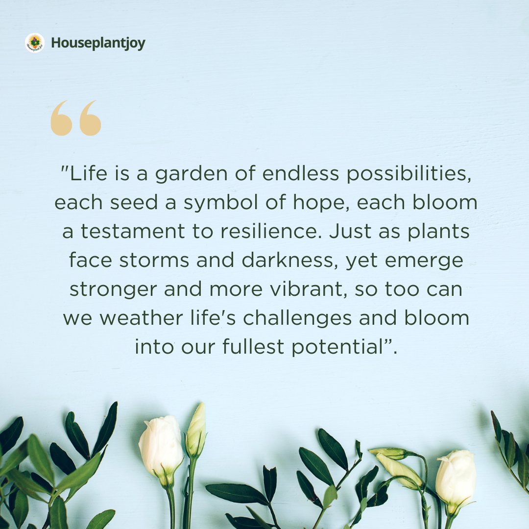 Let us take inspiration from the unwavering determination of nature and embrace the journey of growth. Visit our website: tinyurl.com/2xqugtv4

#BloomWithResilience #EmbraceGrowth #InspiredByNature