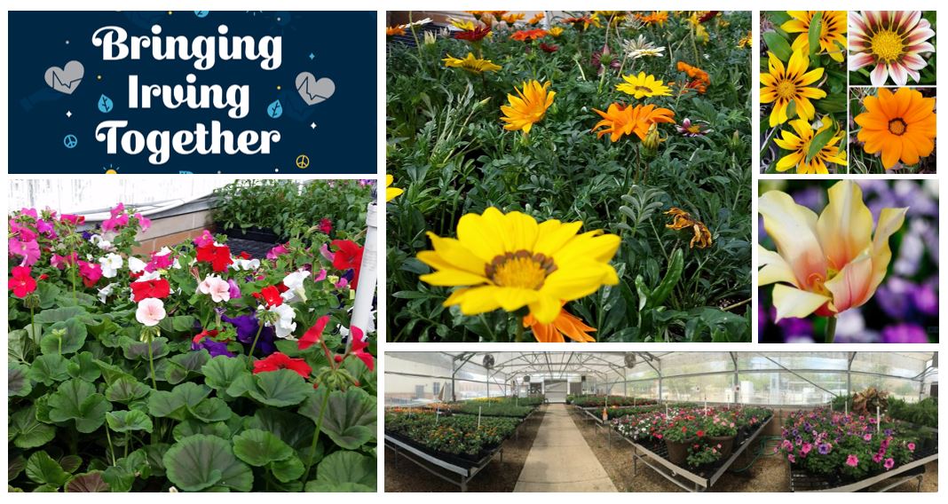 ☔️🌞 Come join us 'rain or shine' at #myIrvingISD's Community Resource Fair tomorrow from 10AM to 2PM at Nimitz High School. 🌼 The Nimitz HS Greenhouse will showcase a spring blooms & plant sale. 🌿 #IISDCommunityResourceFair #BringingIrvingTogether💙